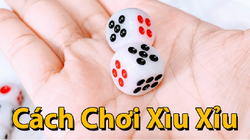 mẹo chơi tài xỉu xí ngầu