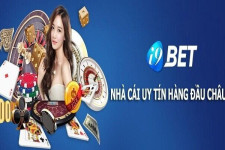 Nhà cái i9bet - Nhà cái cá cược uy tín hàng đầu Châu Á